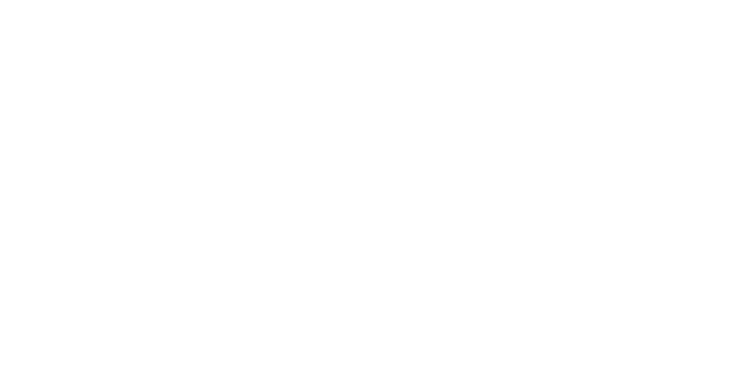 Hollweg Stiftung